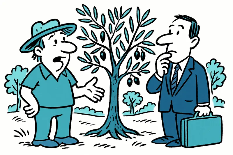 Invertir en olivos: por qué una plantación en Mallorca es atractiva ahora